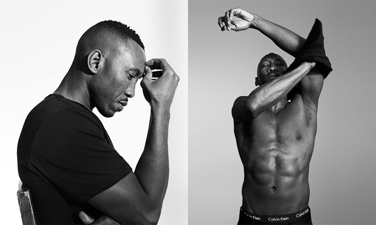 CalvinKlein MahershalaAli