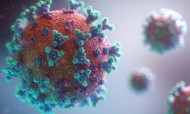 Coronavírus e a importância da vacina da gripe
