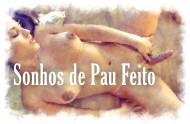 Os sonhos da Xana: Sonhos de pau feito