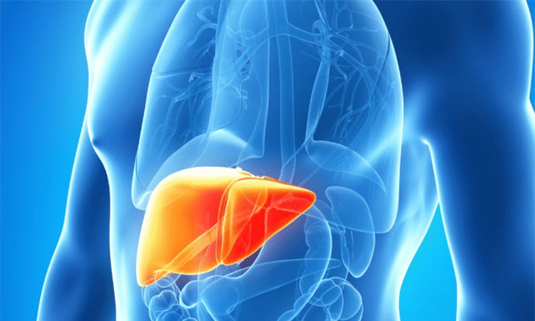 Conheça os tipos de Hepatite e como se pode prevenir