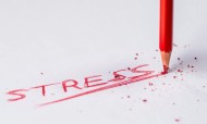 Mentes Conectadas: O stress pode causar problemas?