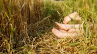 Foder no campo pelo menos uma vez na vida